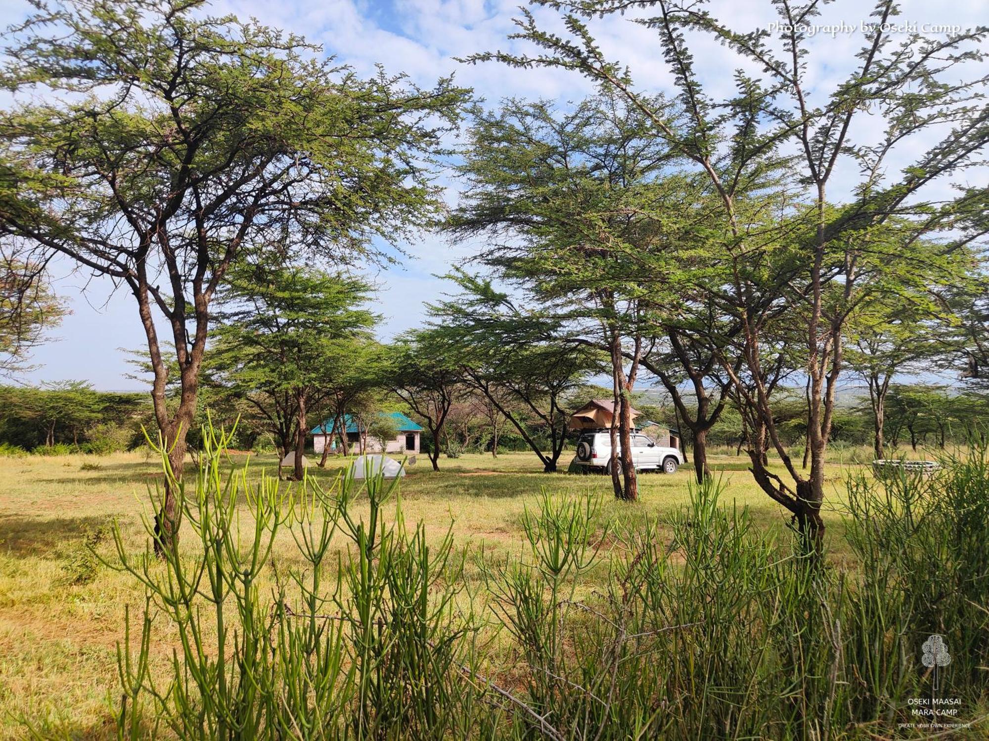Oseki Maasai Mara Camp 호텔 Narok 외부 사진