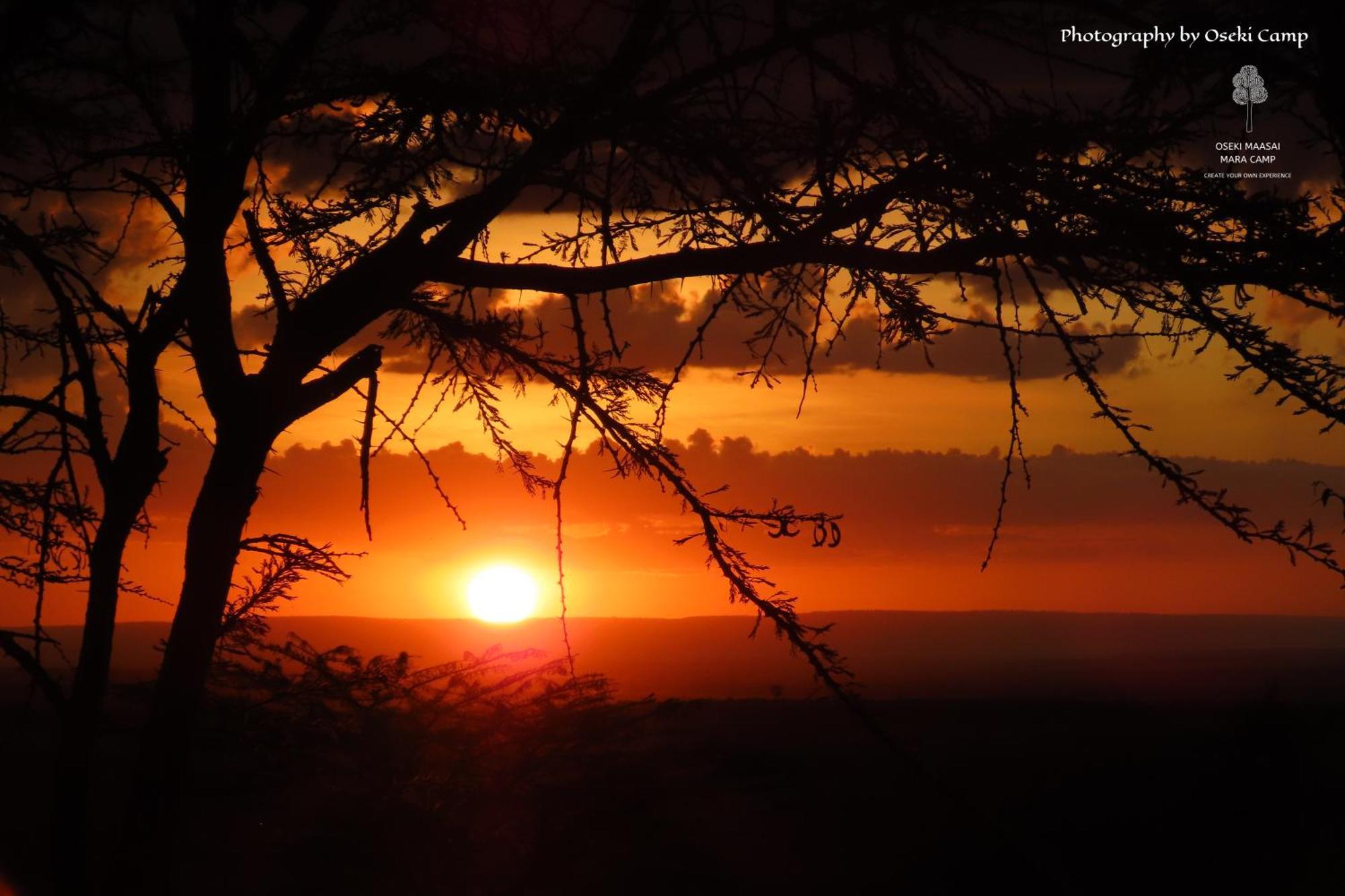 Oseki Maasai Mara Camp 호텔 Narok 외부 사진