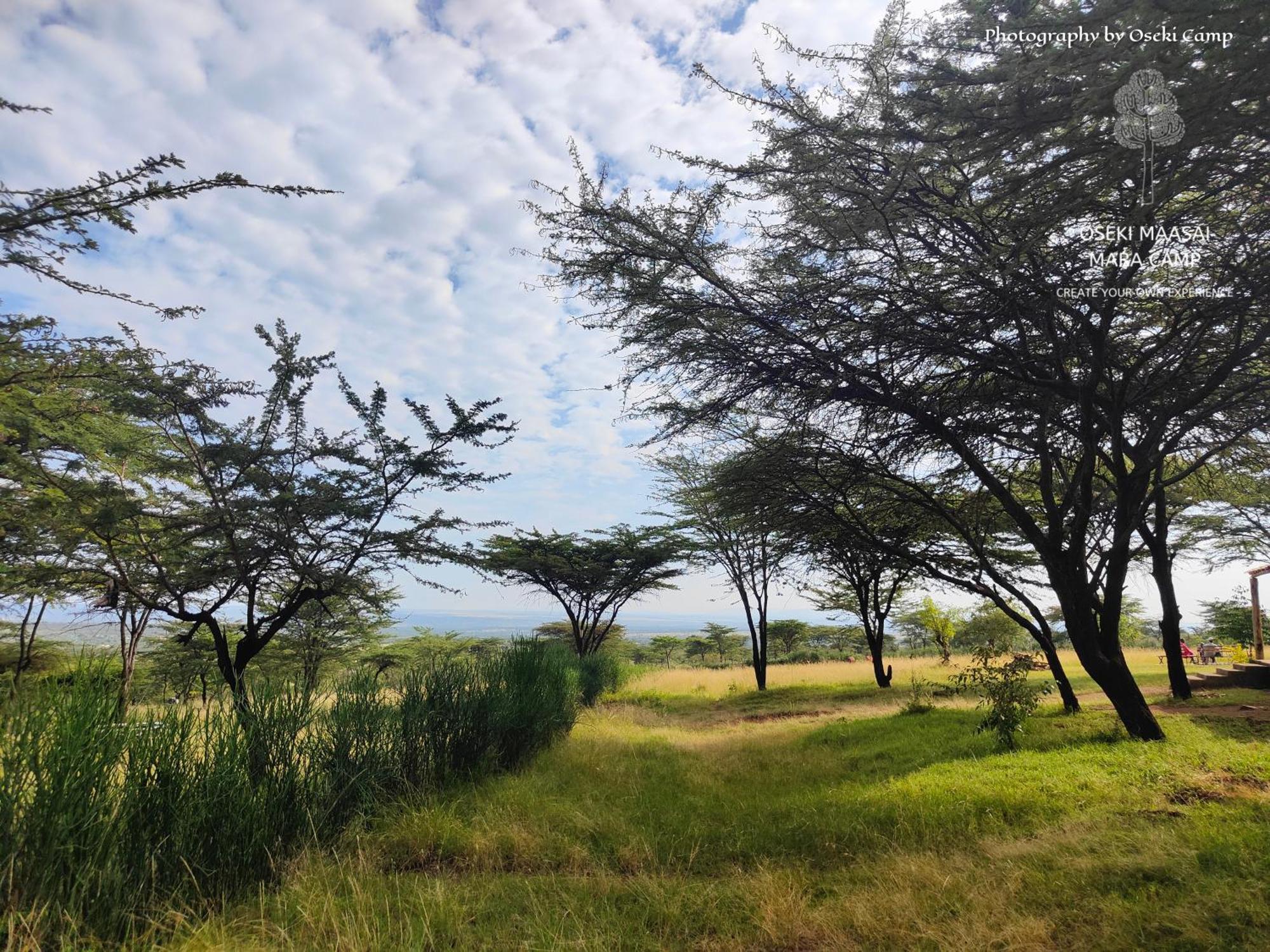 Oseki Maasai Mara Camp 호텔 Narok 외부 사진